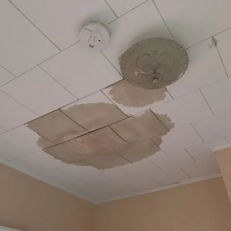 Ceiling Water Damage Repair in Madison County, TN