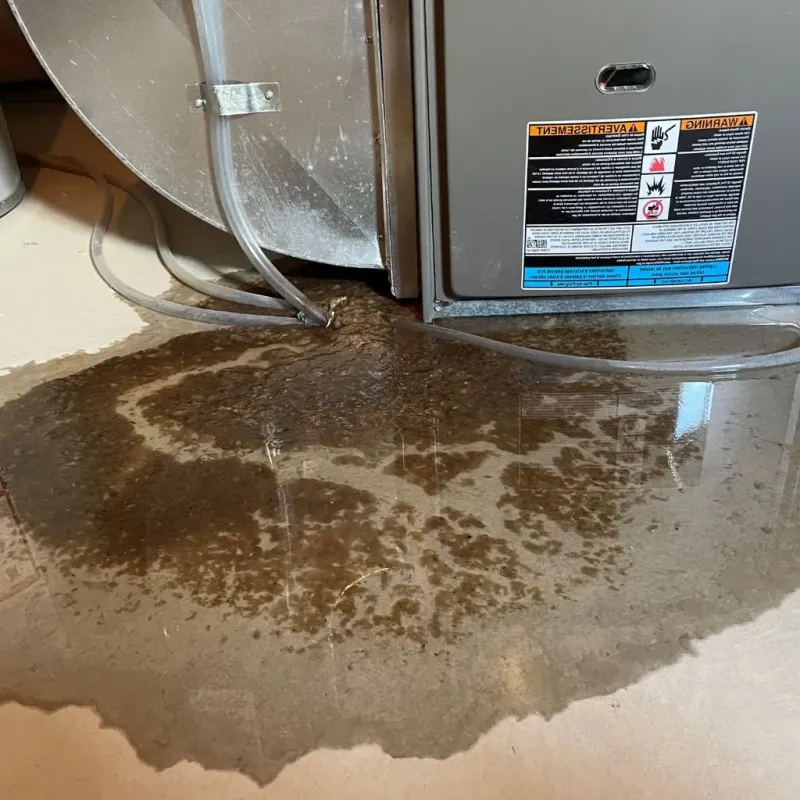 Pipe Burst and Leak Restoration in Madison County, TN