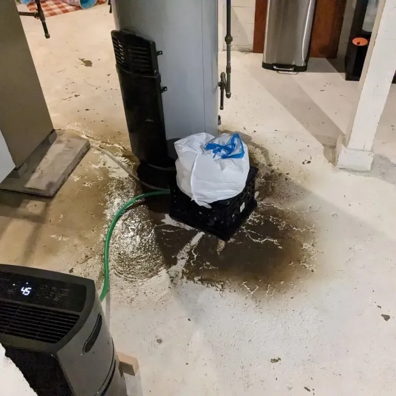 Sewage Backup Cleanup Service in Madison County, TN